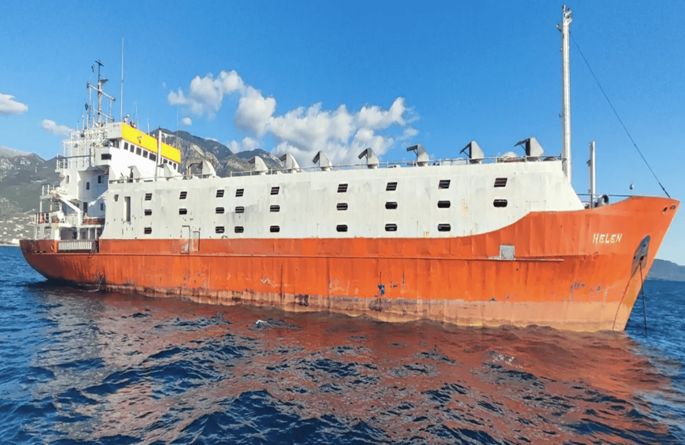 HELEN
Livestock Carrier
IMO: 7614848