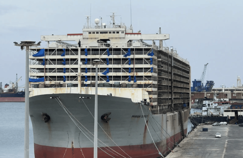 MAWASHIEXPRESSLivestockCarrierIMO7326893