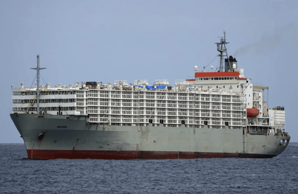 MAYSORA
Livestock Carrier
IMO: 8310542