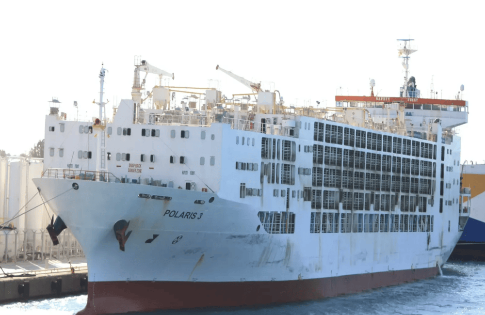 polaris3_livestock-shipping.com